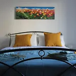 A Casa di Isotta 2